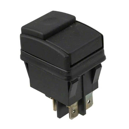 PB242D1100 E-SWITCH