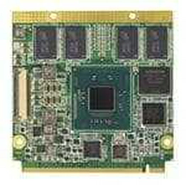 conga-QA3/HSP-B conga-QA3/HSP-B
