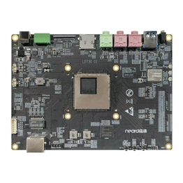 LKD3516DV500 1+8G Neardi