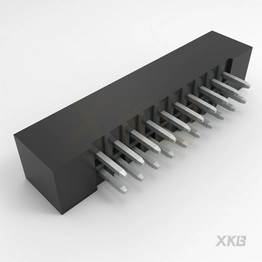XKB Connectivity X2001WV-2x10A-6TV01 image
