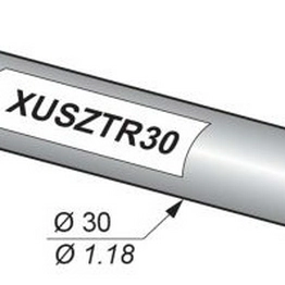 XUSZTR30 Telemecanique Sensors