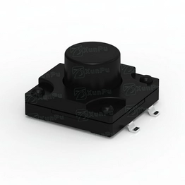 XUNPU TS-1010DGS-BR07526 image