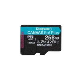 SDCG4/256GBSP SDCG4/256GBSP