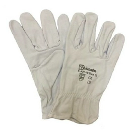 421-S-08 421-S-08
