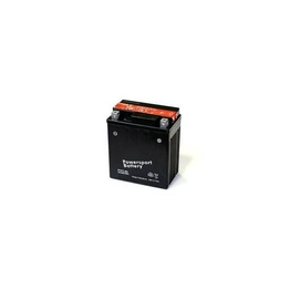 ZL 500 500CC SNOWMOBILE BATTERY International Lighting