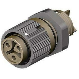 46.031.5050.4 Wieland Electric