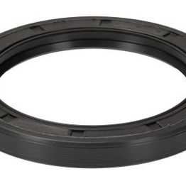 SKF 75X100X10 HMSA10 RG image