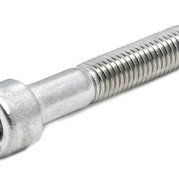 RS 7976272 image