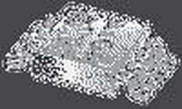 PCA9530DP,118 PCA9530DP,118