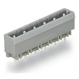 WAGO 231-262/001-000 image