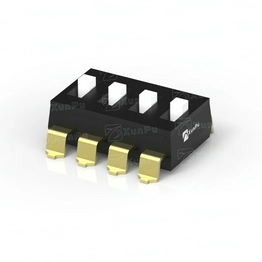 DSIC-04-LS-GER XUNPU