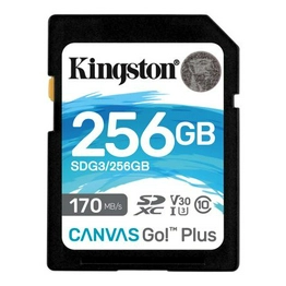 SDG3/256GB SDG3/256GB