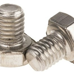 RS 7976317 image