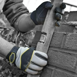 MT5 Polyco Healthline