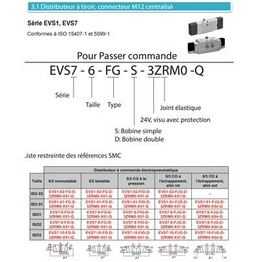 EVS7-6-FG-D-3ZRM0-X51-Q SMC