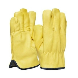 DR100 - 10 DR100 - 10