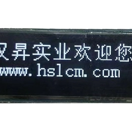 HS91L02W2C01 HS