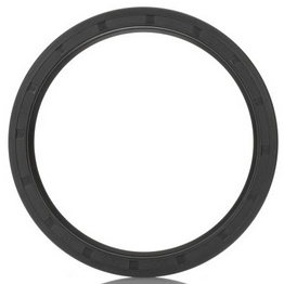 SKF 100X120X10 HMS5 RG image