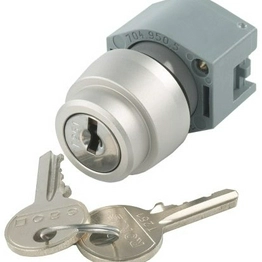 eao 704.121.0 image