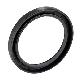 SKF 70X90X10 HMS5 RG image