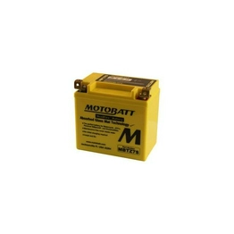 EZ100 100 100CC SCOOTER AND MOPED BATTERY International Lighting