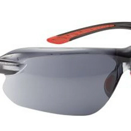 IRIPSF Bolle Safety