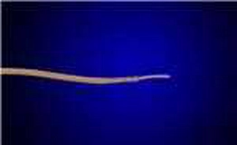 2829/4 WH005 Alpha Wire