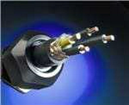VF16008 BK001 Alpha Wire