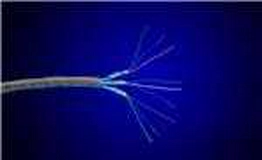 6387 SL005 Alpha Wire