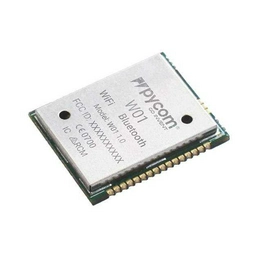 W01 pycom