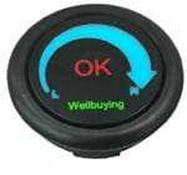 TS005-B1TMKK301RRBO-W100 Well Buying