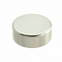 8021 Radial Magnets