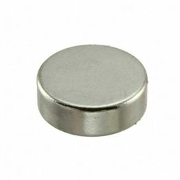 9029 Radial Magnets