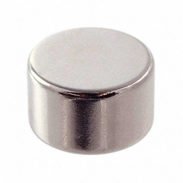 8174 Radial Magnets