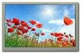 T-55785GD070J-LW-AFN KYOCERA
