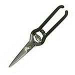 C4ASN Apex Tool