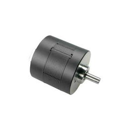 BLDC36P16A NMB Technologies