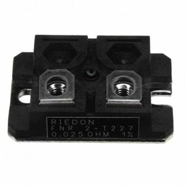 FNR2E-0R025F1 RIEDON