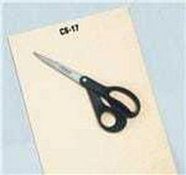 CS-17 PLATO