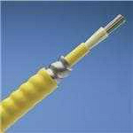 FSPP912Y PANDUIT