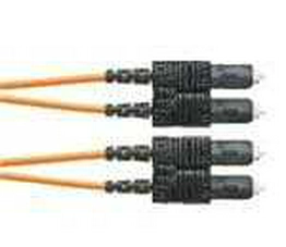F923LSNSNSNM003 PANDUIT