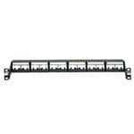CPPL24WRBLY PANDUIT