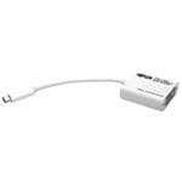 U444-06N-DVI-AM Tripp Lite