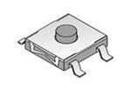 101-TS6824T2604-EV Mountain Switch