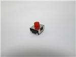 101-TS6923T2605-EV Mountain Switch