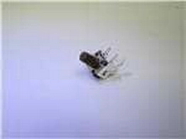 101-TS6511R1606-EV Mountain Switch