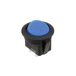 RR111C1700 E-SWITCH