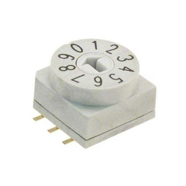 RDTAR10S1R E-SWITCH