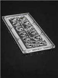 CS14145_STRADA-IP-2X6-DWC-90 LEDiL