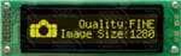 LK202-25-IY-V-E Matrix Orbital